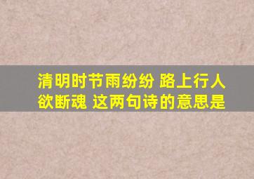 清明时节雨纷纷 路上行人欲断魂 这两句诗的意思是